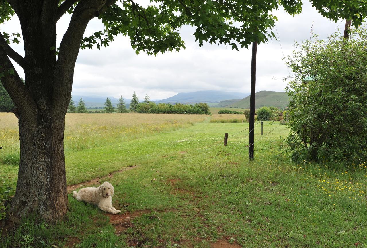 Pennygum Country Cottages Underberg Exteriér fotografie